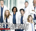 Greys Anatomy  Season 8 English tv-serials on ABC