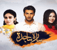 Sarah Sajida Urdu tv-serials on SAB Tv Pakistan
