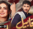 Qabeel Urdu tv-serials on aur Life