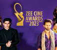 Zee Cine Awards 2023 Hindi tv-shows on ZEE TV