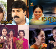 Madhavi Tamil tv-serials on SUN TV