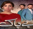 Bebaak Urdu tv-serials on HUM TV