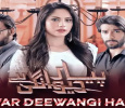Pyar Deewangi Hai Urdu tv-serials on ARY DIGITAL