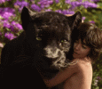 The Jungle Book In The 100-crore Club