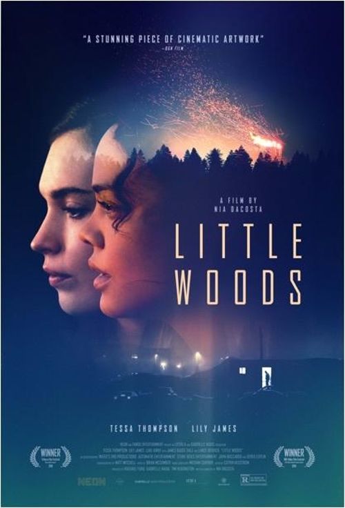 Little Woods Movie Review