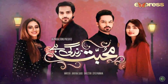 Mohabbat Zindagi Hai