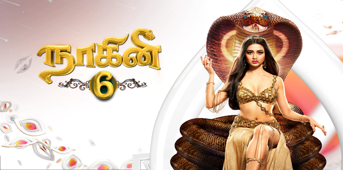 Naagini  Season 6
