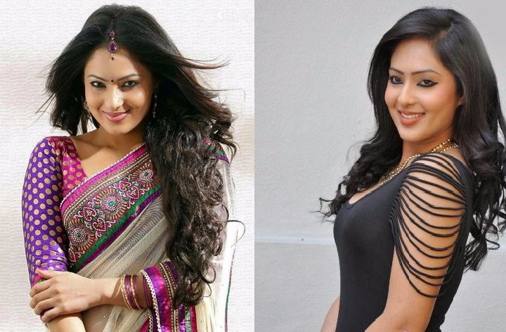 Nikesha Patel Excels In All Languages!