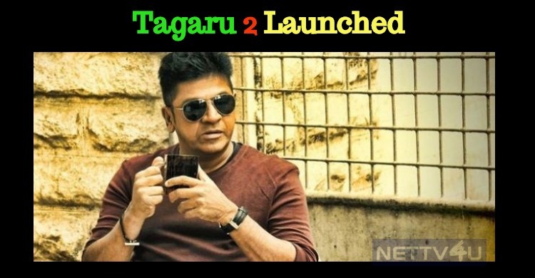 Before The Release Of Tagaru, The Sequel Is Getting Ready!