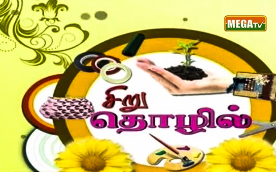 Mega Tv Major Television Network In Tamil Know More Nettv4u