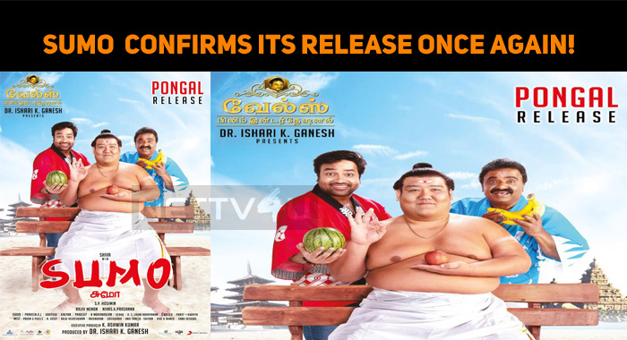 Sumo Team Confirms Its Release Once Again!