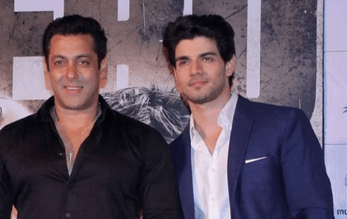 Telugu Movie Rogue To Be Remade In Hindi By Salman