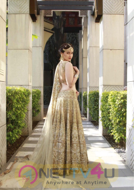 Actress Mannara Chopra Most Admirable WOW Pics 