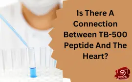 Is There A Connection Between TB-500 Peptide And The Heart?