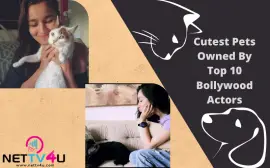 Cutest Pets Owned By Top 10 Bollywood Actors