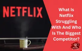What Is Netflix Struggling With And Who Is The Biggest Competitor?