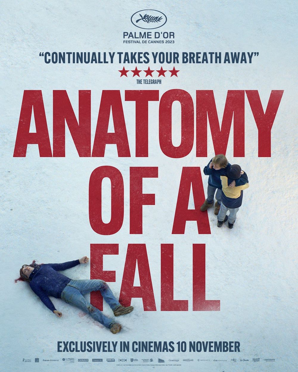 Anatomy Of A Fall Movie Review