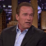 Arnold Schwarzenegger English Movie Actor