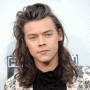 Harry Styles English Singer