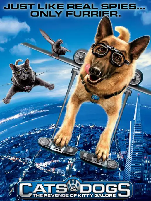 Cats & Dogs The Revenge Of Kitty Galore Movie Review NETTV4U